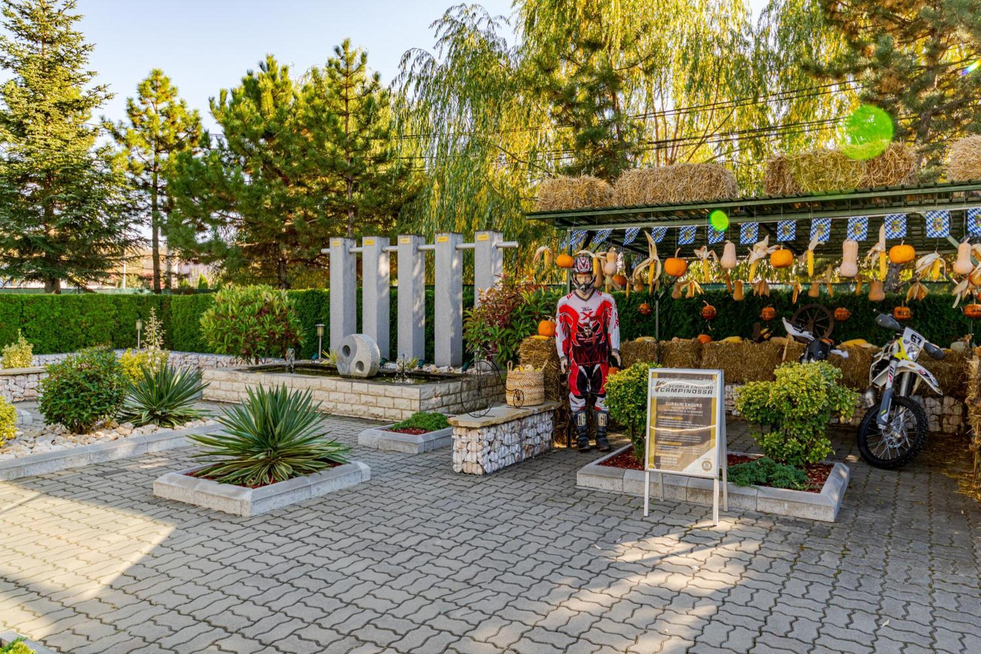 Casa Augsburg Hotel Băneşti Buitenkant foto
